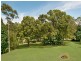 75 Picketts Valley Road, Picketts Valley NSW 2251