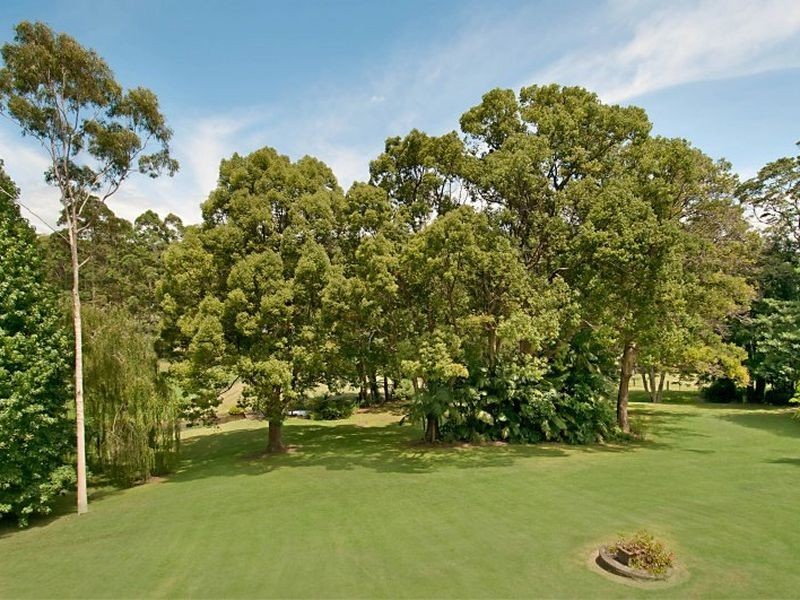 75 Picketts Valley Road, Picketts Valley NSW 2251