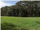 3/21 Picketts Valley Rd, Picketts Valley NSW 2251