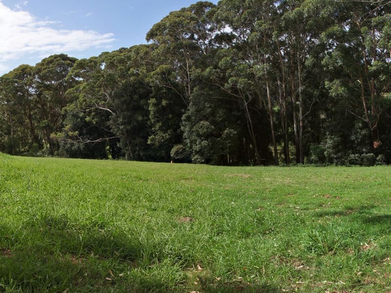 3/21 Picketts Valley Rd, Picketts Valley NSW 2251