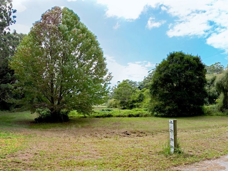 3/21 Picketts Valley Rd, Picketts Valley NSW 2251