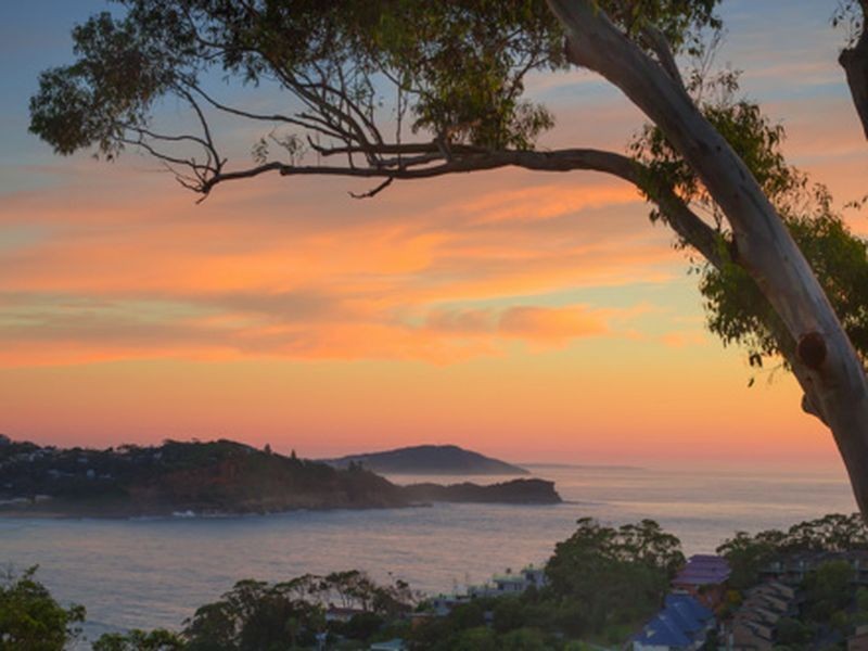 19 Fairscene Crescent, Avoca Beach NSW 2251