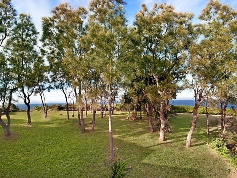 171 Del Monte Place, Copacabana NSW 2251