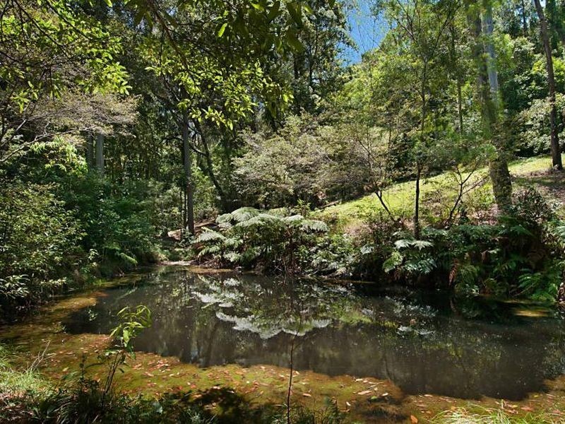 61 Picketts Valley Road, Avoca Beach NSW 2251