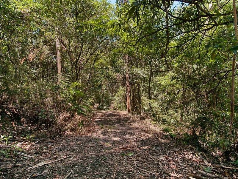 61 Picketts Valley Road, Avoca Beach NSW 2251