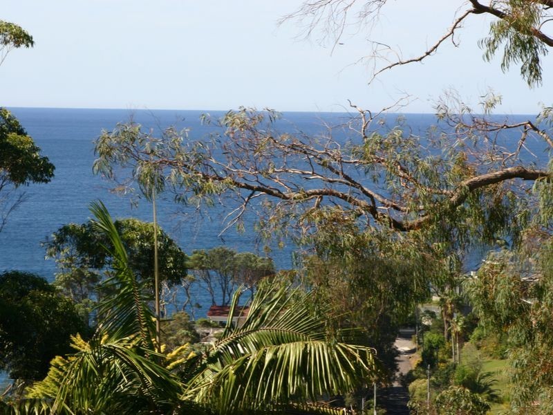 113 Cape Three Points Road, Avoca Beach NSW 2251