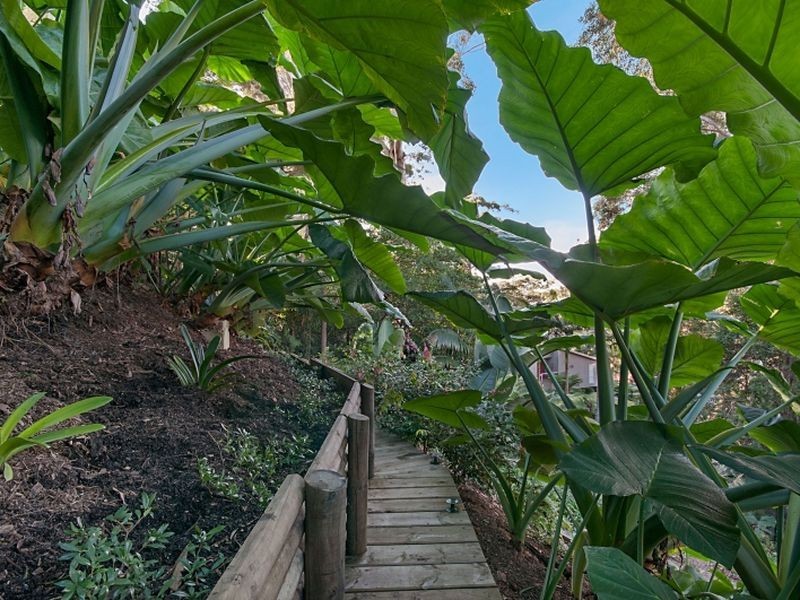 88 Bradleys Road, North Avoca NSW 2260