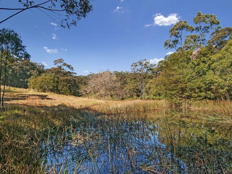 325 Brush Road, Ourimbah NSW 2258