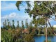 307 The Round Drive, Avoca Beach NSW 2251