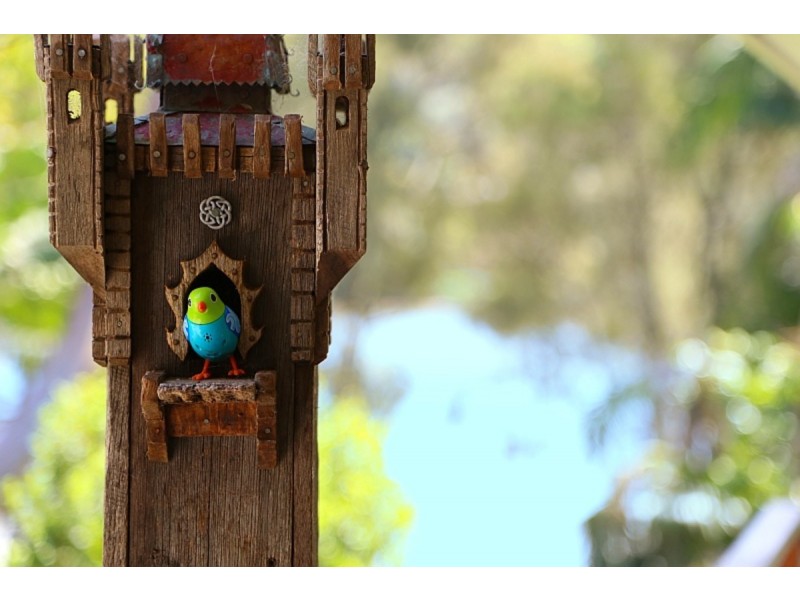 19 Cape Three Points Road, Avoca Beach NSW 2251