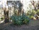290 The Round Drive, Avoca Beach NSW 2251