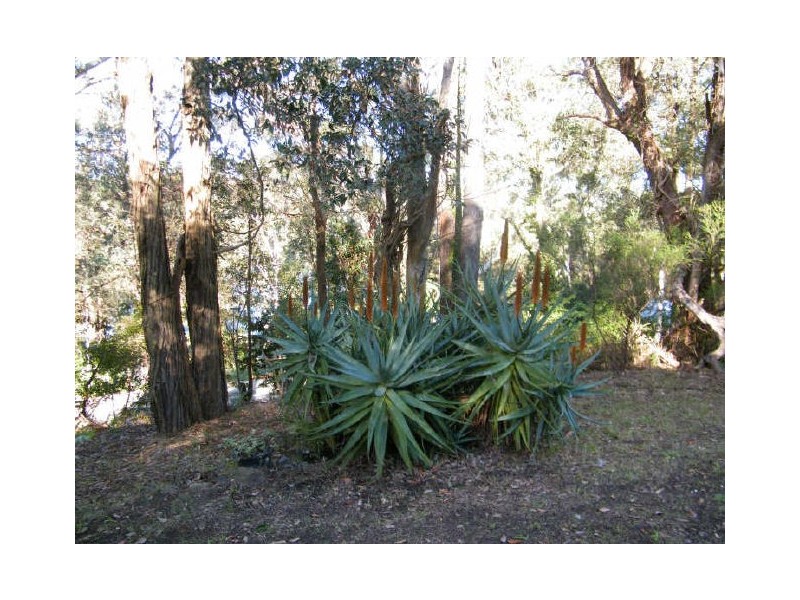 290 The Round Drive, Avoca Beach NSW 2251