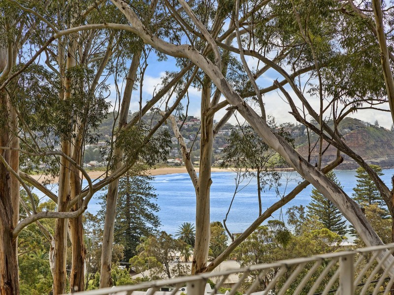 29 Ascot Avenue, Avoca Beach NSW 2251
