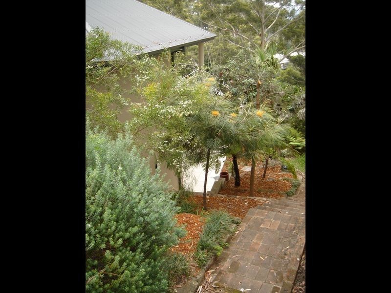 43 Arden Avenue, Avoca Beach NSW 2251