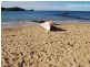 43 Arden Avenue, Avoca Beach NSW 2251