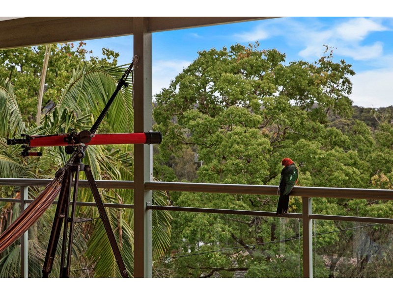 8 Daniel Close, Macmasters Beach NSW 2251