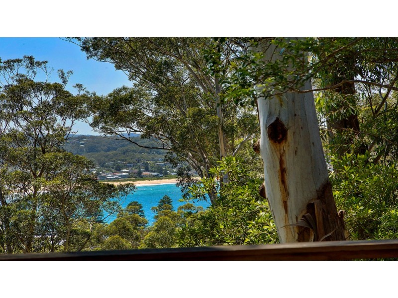 41 Arden Avenue, Avoca Beach NSW 2251