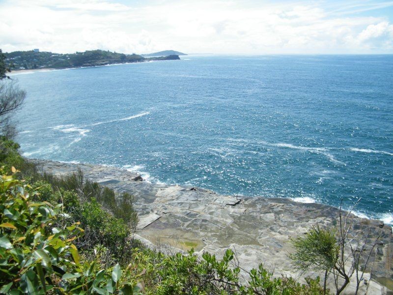 Avoca Beach NSW 2251