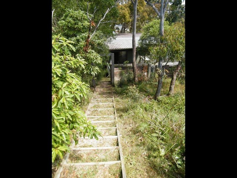 Avoca Beach NSW 2251