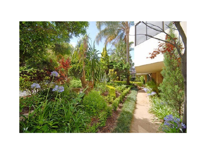 8/37 Barry Street, Neutral Bay NSW 2089