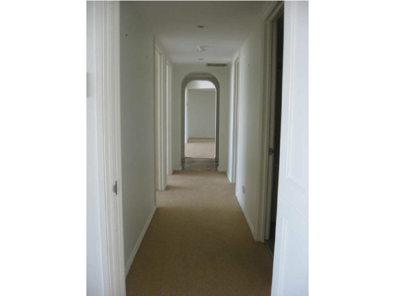 1202/102 Alfred Street North, Milsons Point NSW 2061