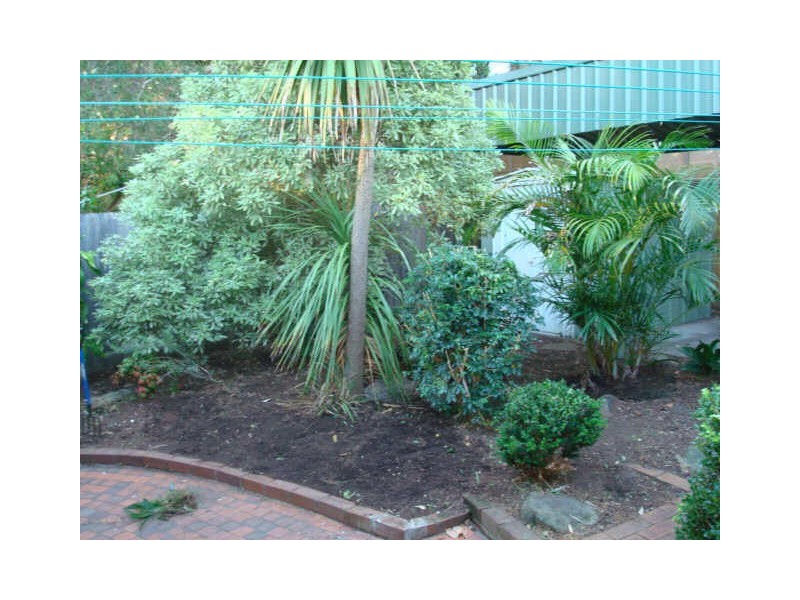 38 Princes Street, Mcmahons Point NSW 2060