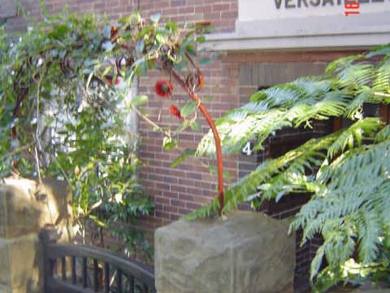 Lavender Bay NSW 2060