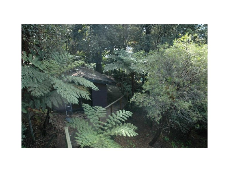 14 Ilya Avenue, Bayview NSW 2104