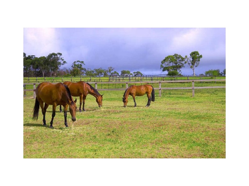 27 Walter Road, Bayview NSW 2104