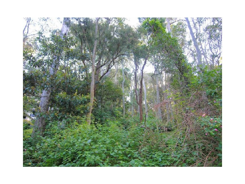 27 Thompson Street, Scotland Island NSW 2105