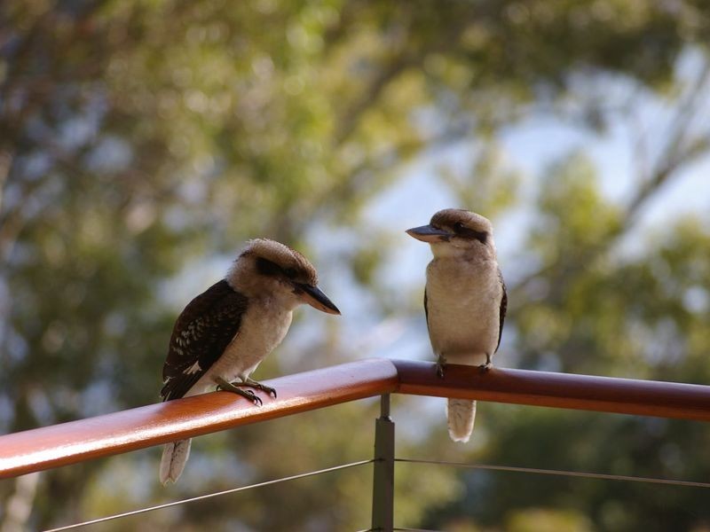 4 Corniche Road, Church Point NSW 2105