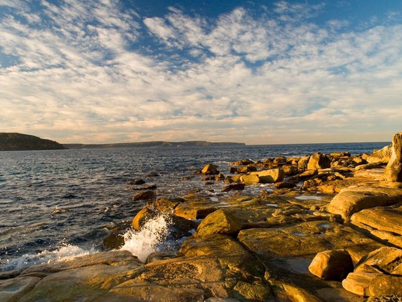 3/2 Ocean Place, Palm Beach NSW 2108