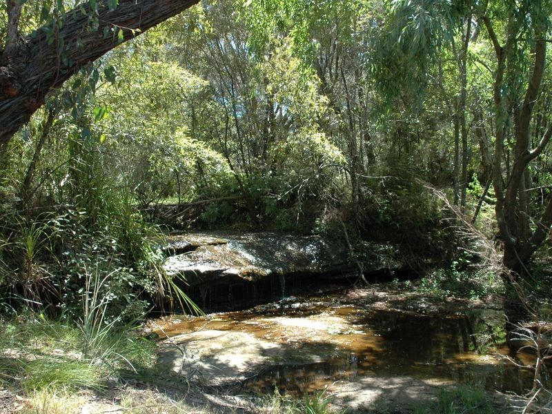 10 Cicada Glen Road, Ingleside NSW 2101