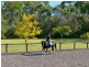 Bayview NSW 2104