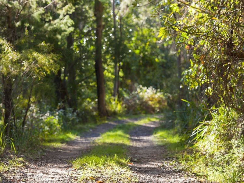 122 Booralie Road, Duffys Forest NSW 2084