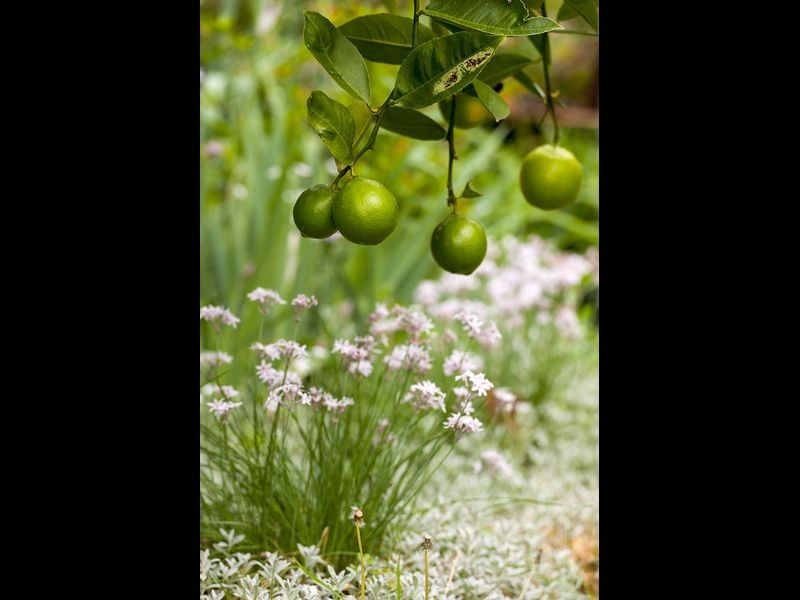 16 Chiltern Road, Ingleside NSW 2101