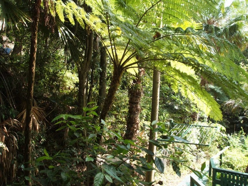 28a Kananook Avenue, Bayview NSW 2104