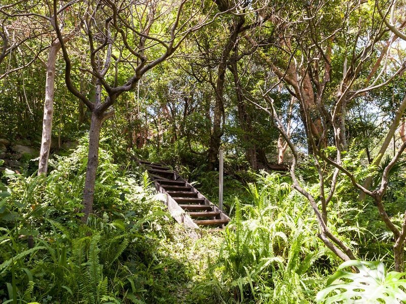 74 Nareen Parade, North Narrabeen NSW 2101