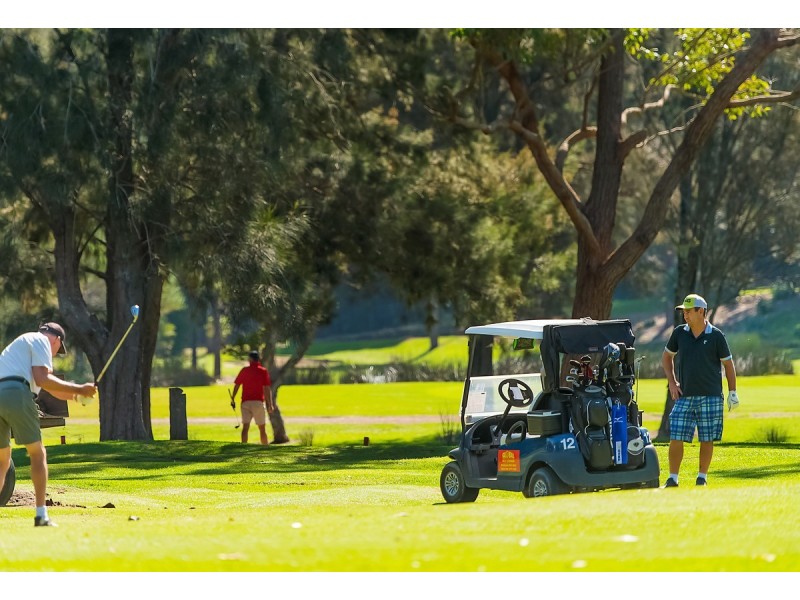 14 Parkland Road, Mona Vale NSW 2103