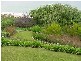 190 Barrenjoey Road, Newport NSW 2106