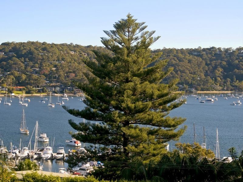 55 Prince Alfred Parade, Newport NSW 2106