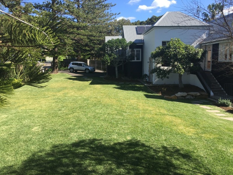 38 Bungan Head Road, Newport NSW 2106