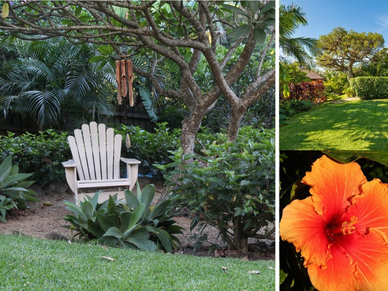 4 Bungan Head Road, Newport NSW 2106