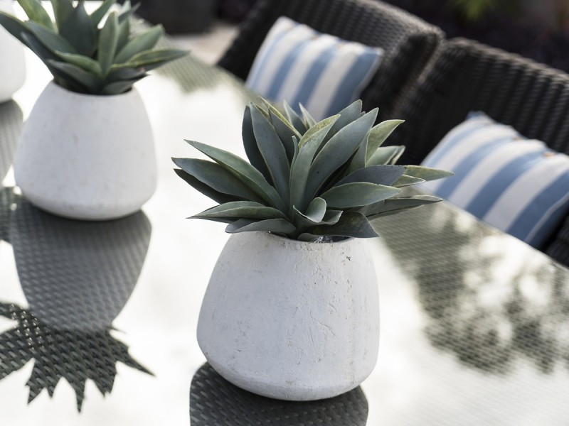 23 Narroy Road, North Narrabeen NSW 2101