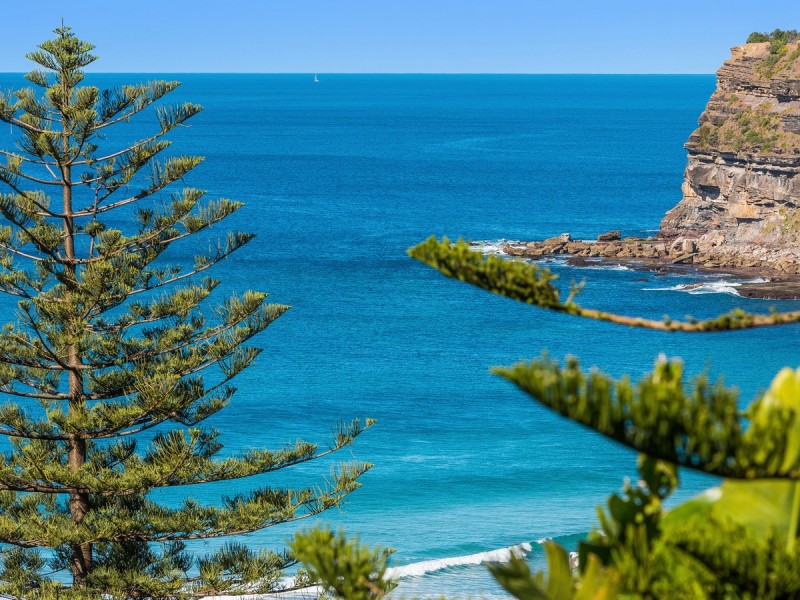 15a Karloo Parade, Newport NSW 2106