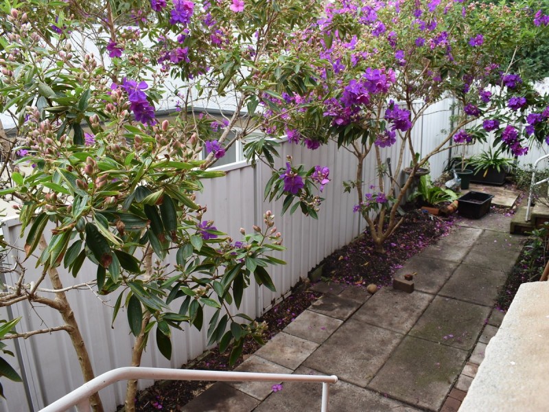 3/41 Waratah Street, Mona Vale NSW 2103