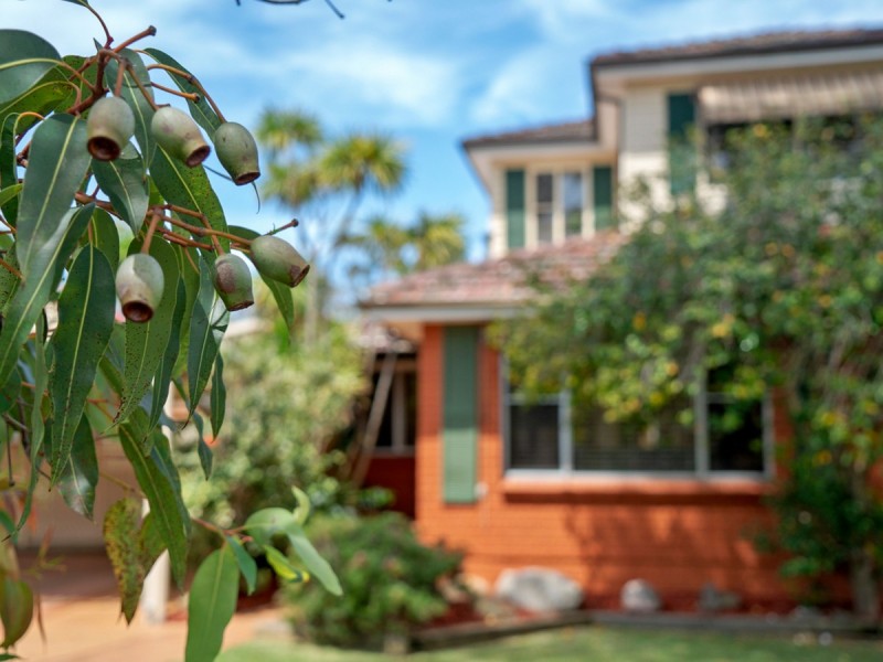 24 Jinchilla Road, Terrey Hills NSW 2084