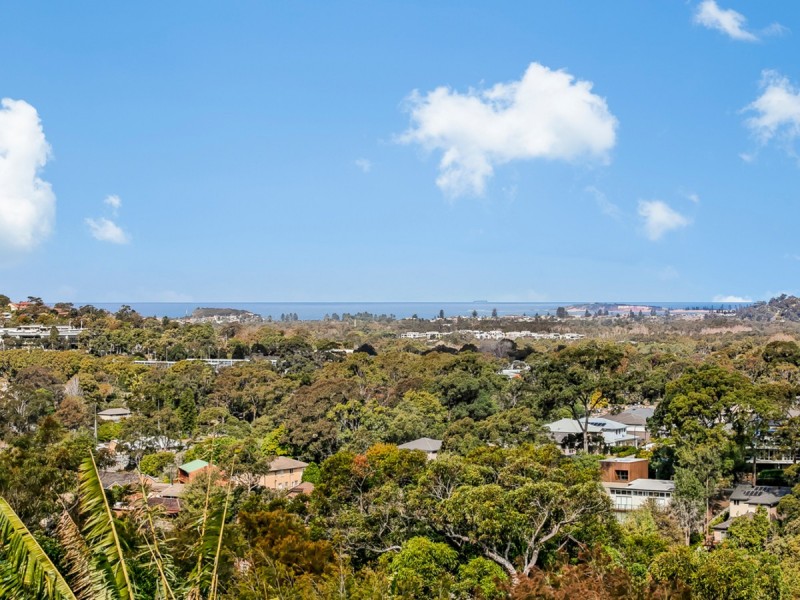 101 Cabbage Tree Road, Bayview NSW 2104