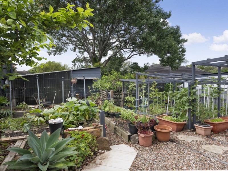 51 Mona Vale Road, Mona Vale NSW 2103