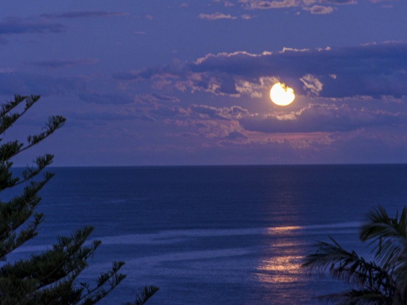 89 Narrabeen Park Parade, Mona Vale NSW 2103